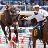 Rodeo v Calgary