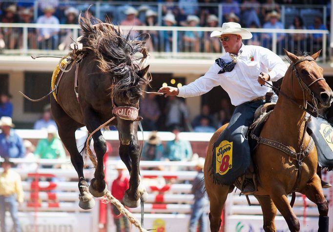 Rodeo v Calgary