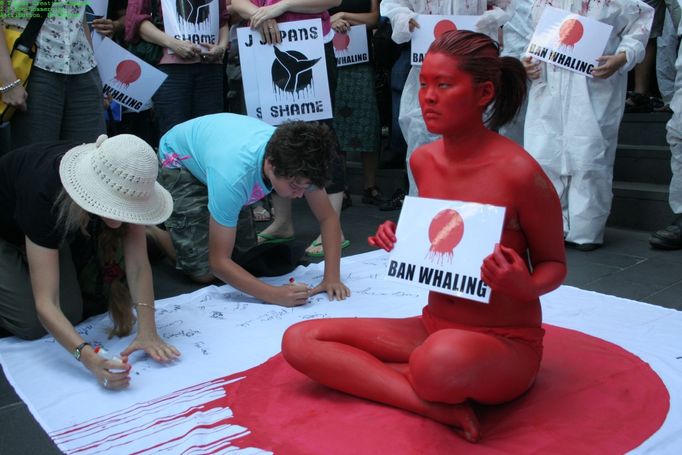 Proti komerčnímu lovu velryb celosvětově protestují aktivisté a ochránci přírody. Upozorňují především na Japonsko, které kytovce loví ve velkém.