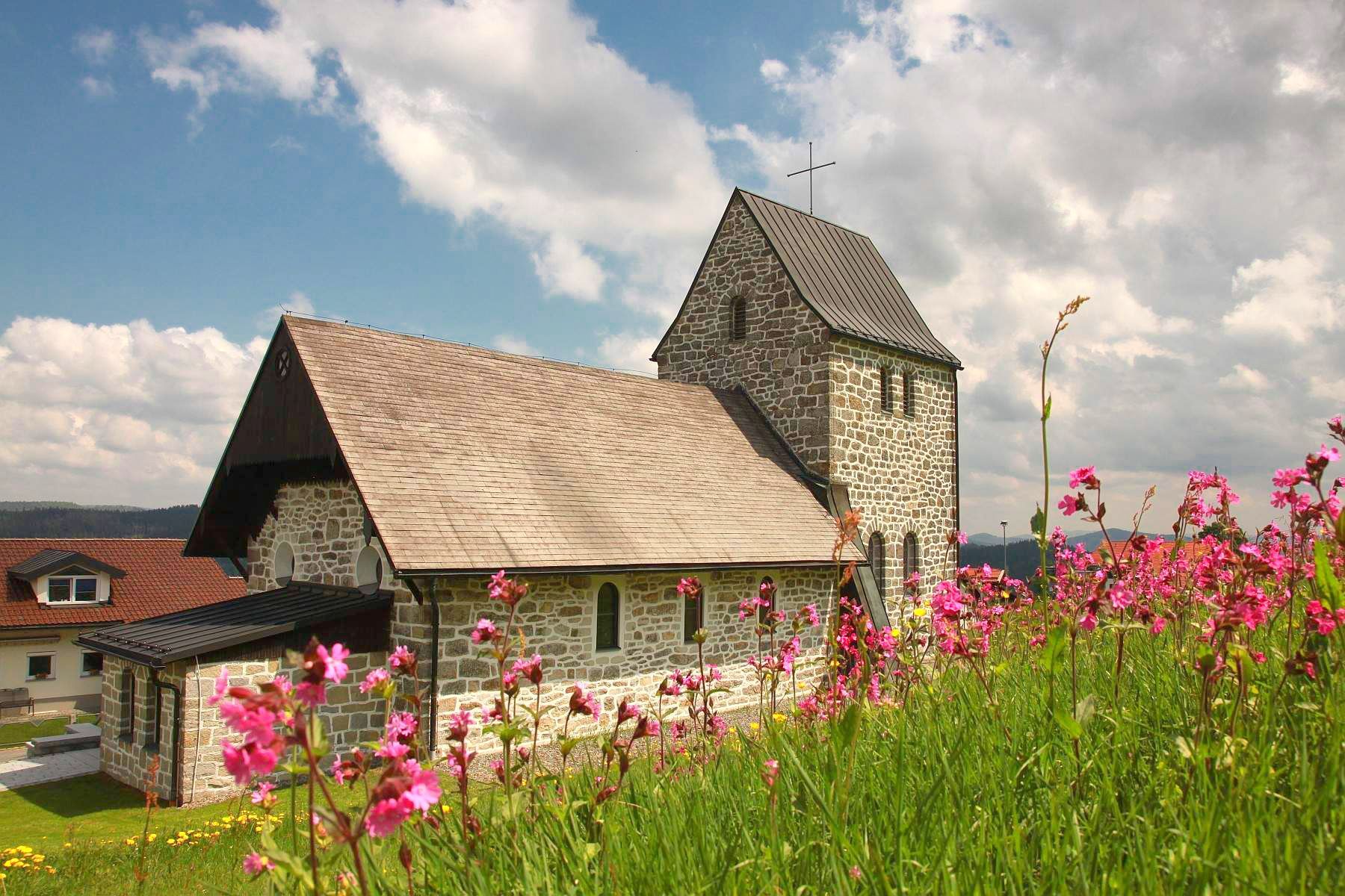 Jednorázové použití / Průvodci divočinou / Šumava