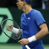 Davis Cup: Česko - Itálie: Berdych (radost)