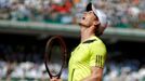 Andy Murray na French Open 2014