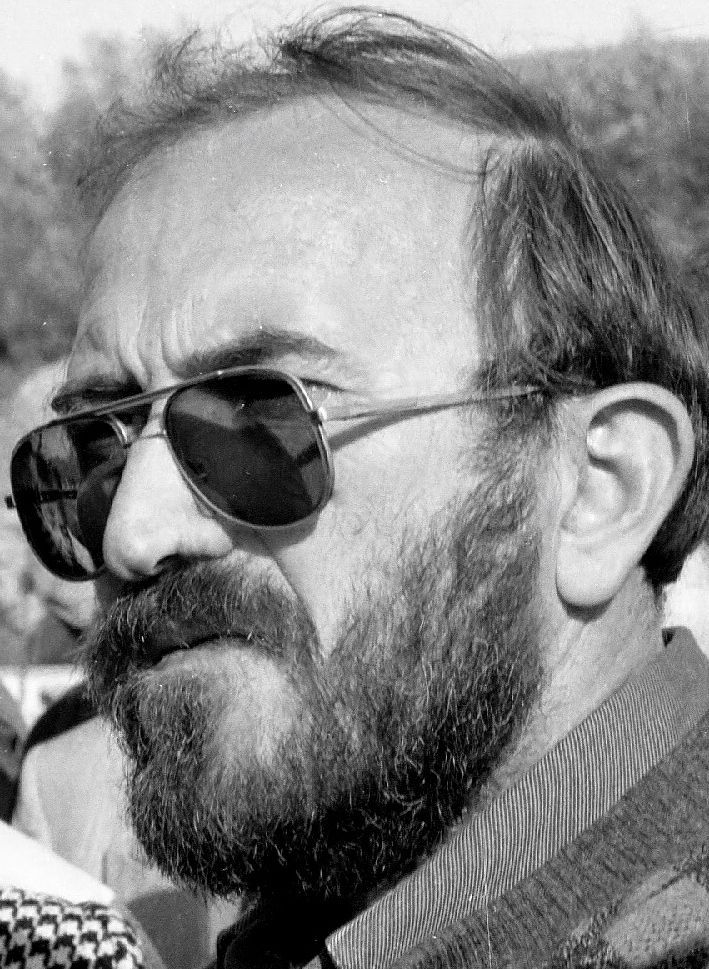 Goran Hadžič