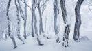 Martin Rak: krajinářská fotografie