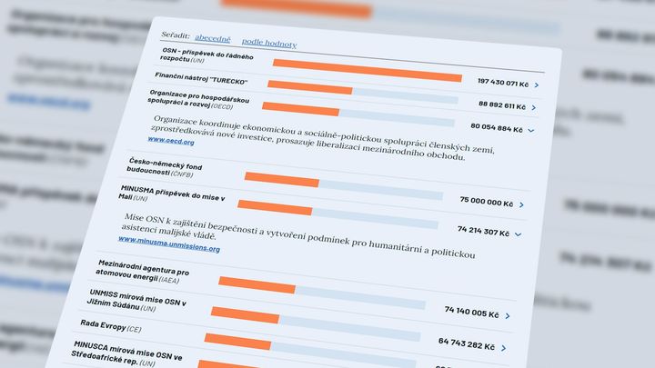 Velrybáři i obránci míru. Česko platí stovkám světových organizací, často neví proč
