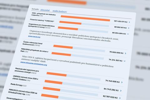 Velrybáři i obránci míru. Česko platí stovkám světových organizací, často neví proč