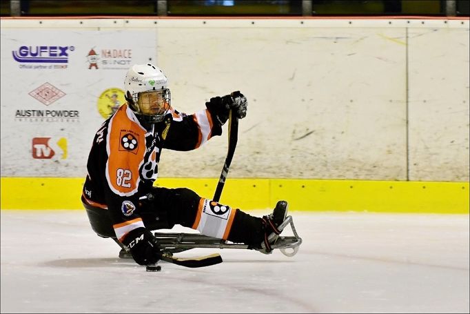 Česká sledge hokejová reprezentace: Zdeněk Hábl