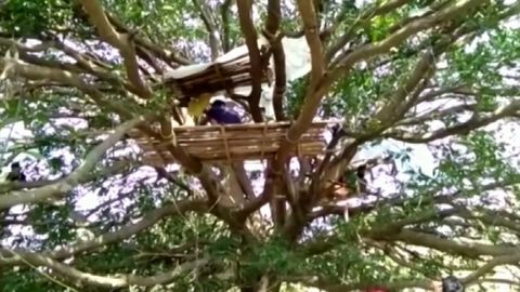 Nákaza koronavirem v extrémní chudobě: Indové se izolují na stromech