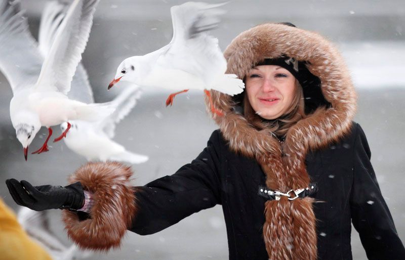 Zvířecí hrátky na sněhu