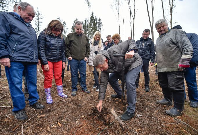 Premiér Andrej Babiš a ministryně financí Alena Schillerová si 15. května 2019 v lokalitě Bílovna nedaleko Bernartic prohlédli lesy zasažené kůrovcem.