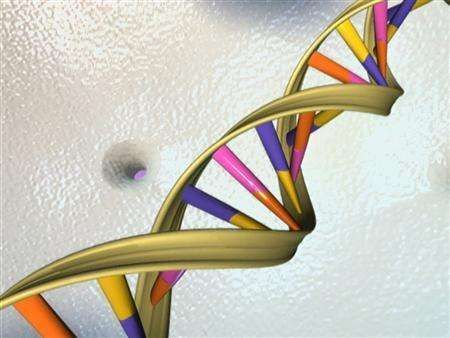DNA přinesla letos Nobelovu cenu dvěma vědcům.