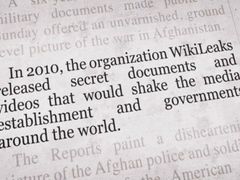 Co je WikiLeaks?