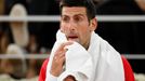 Finále French Open 2020 (Novak Djokovič)