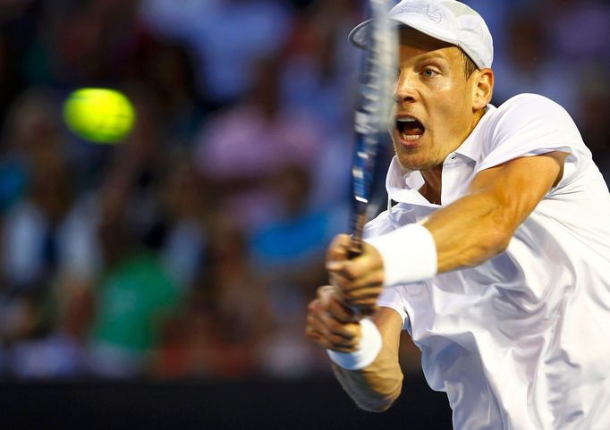 Australian Open: Tomáš Berdych