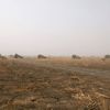 Čadští vojáci v boji proti Boko Haram