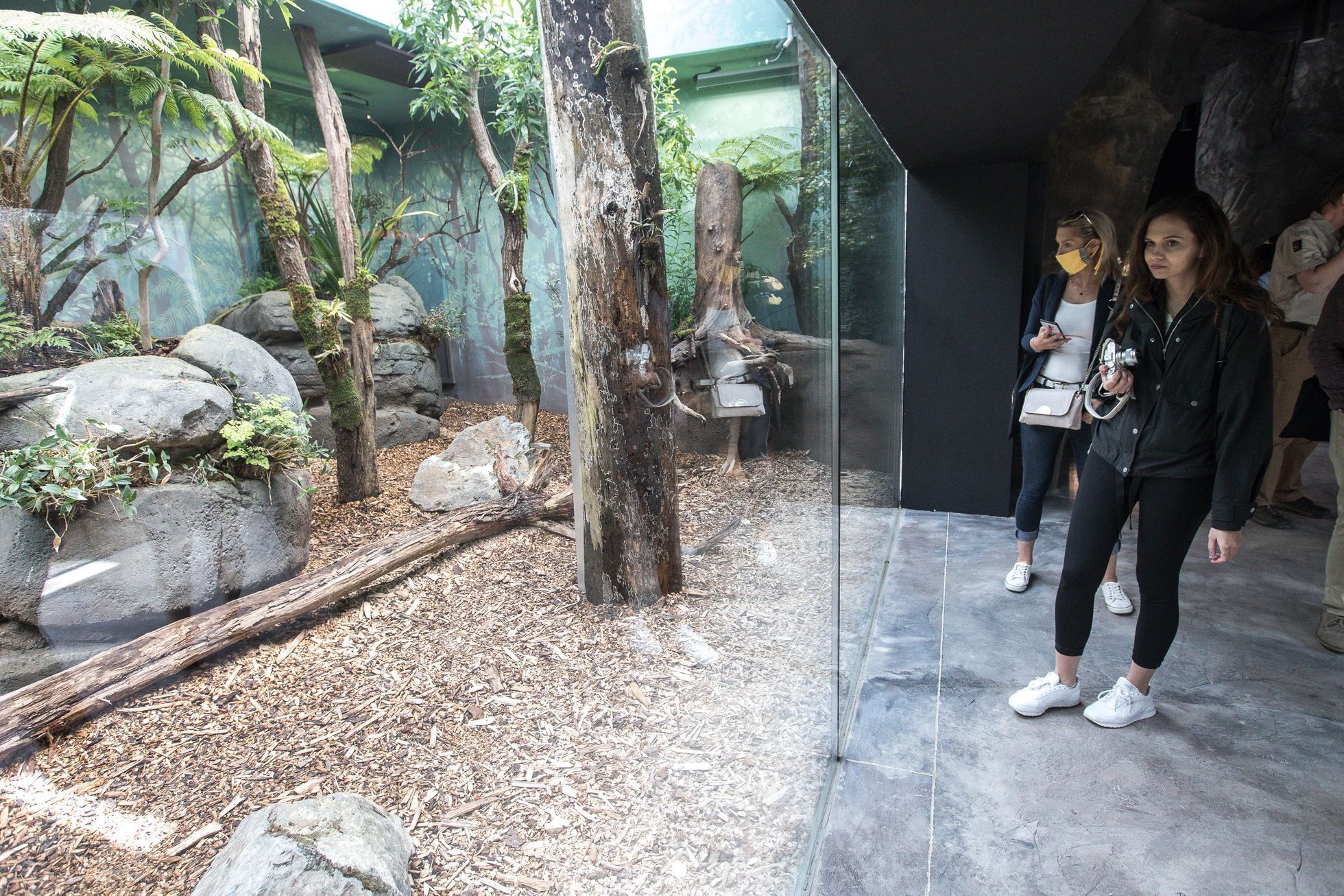 Tasmánští čerti v pražské zoo - nový pavilon Darwinův kráter