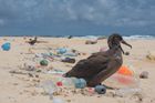 Kvůli plastům každoročně zemře více než milion mořských živočichů.