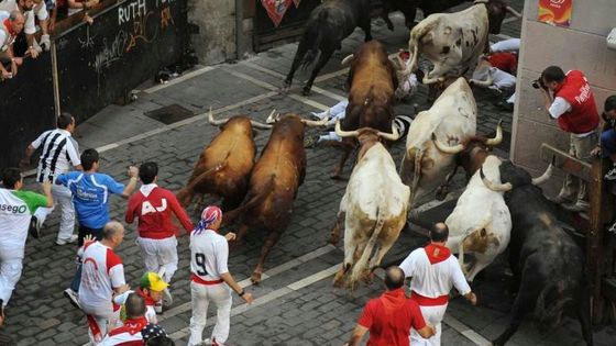 Běh mezi býčími rohy. Takový je festival ve španělské Pamploně