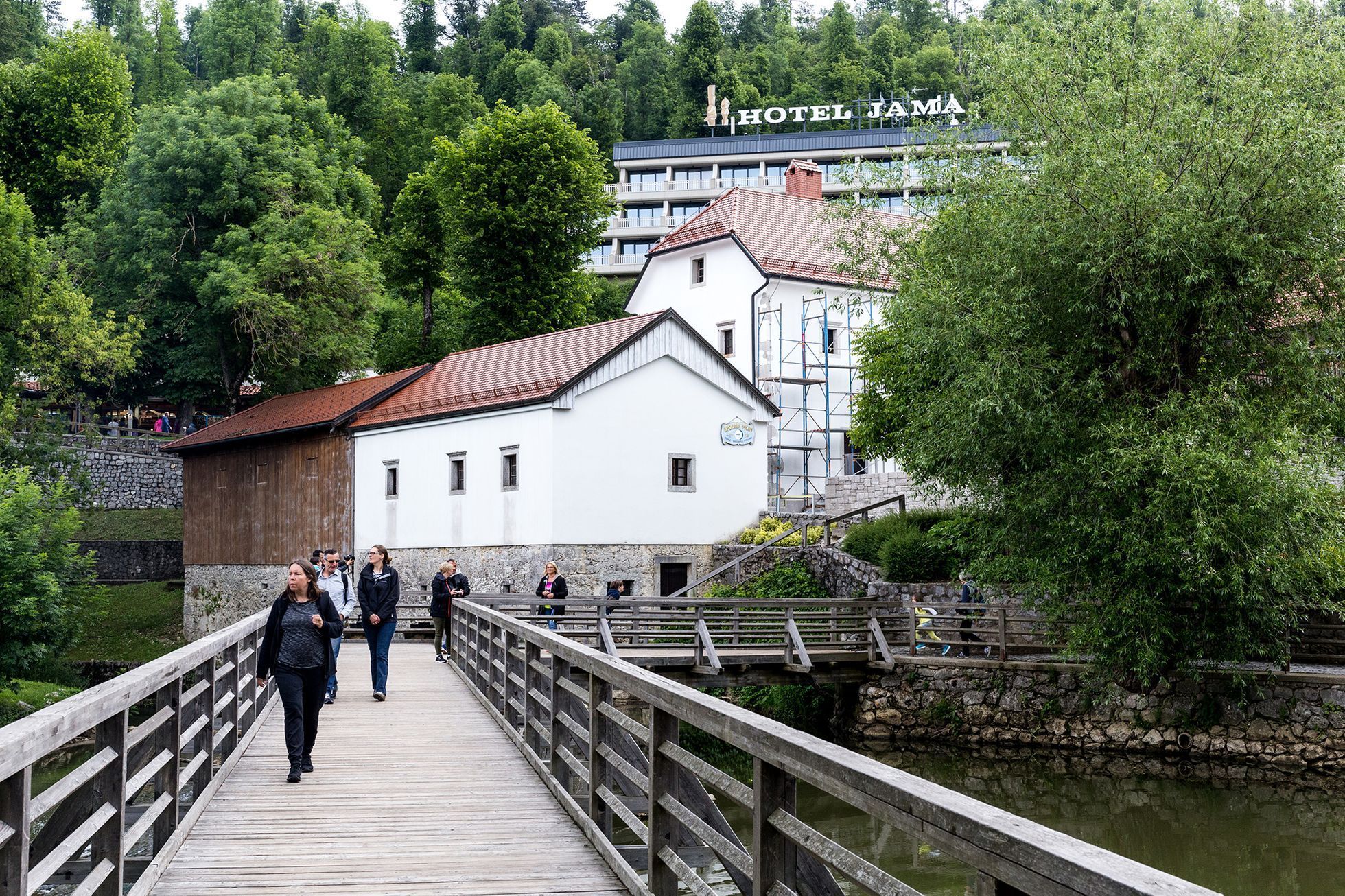 David Kohout - Istrie