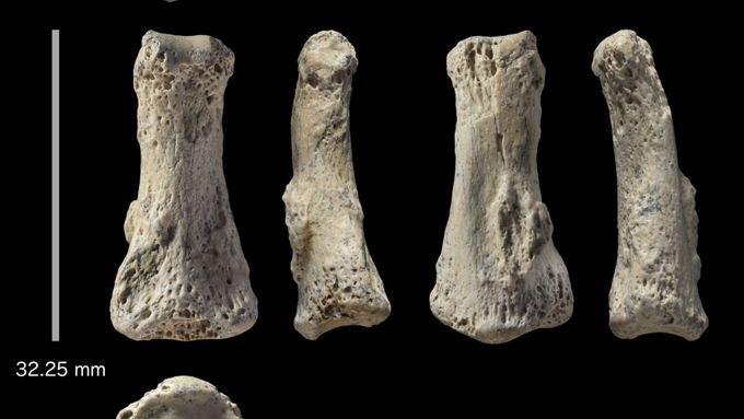Fosilie prstu Homo sapiens stará 90 tisíc let.