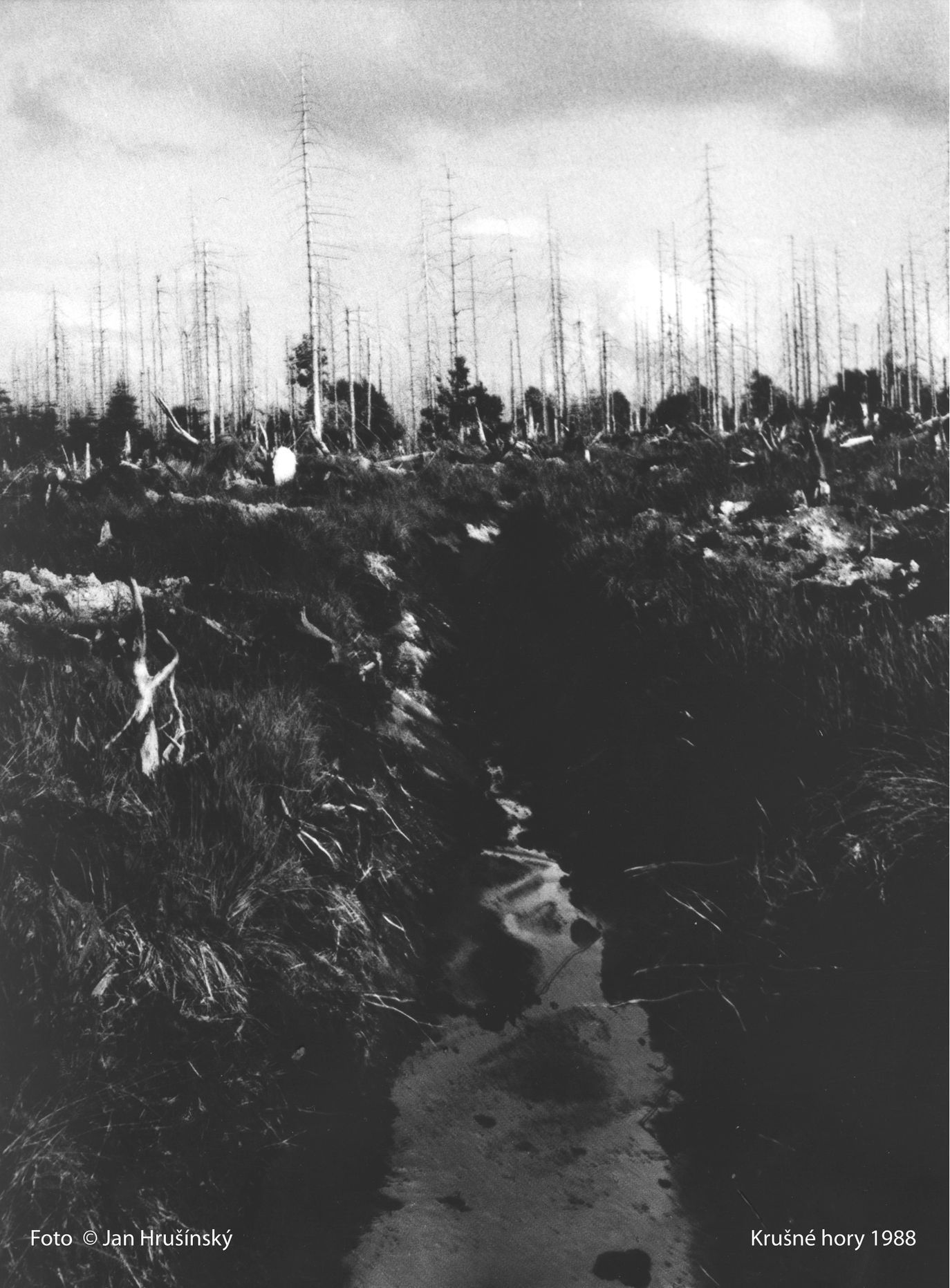 jan hrušínský fotografie pentax