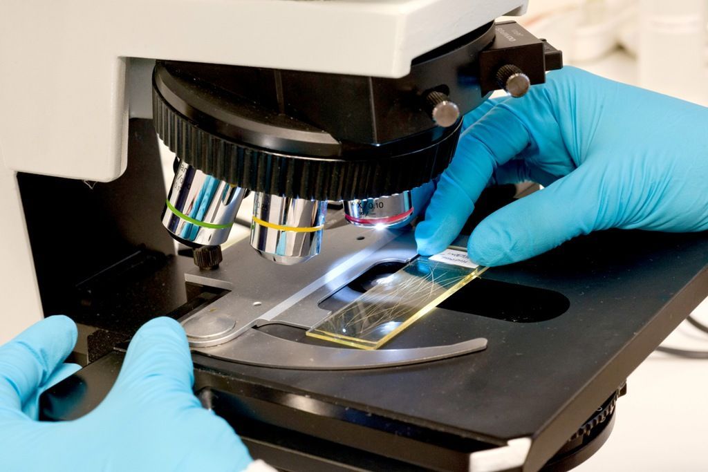 praxe soudní antropoložky Hany Eliášové