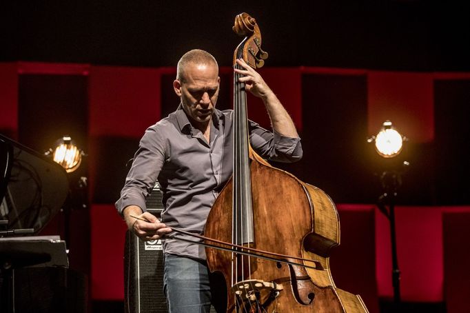 Avishai Cohen.