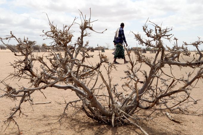 Snímek z Keňské republiky v Africe, která byla pořízena v oblasti města Dadaab v roce 2022, kde je i velký uprchlický tábor pro lidi, kteří byli postižení hladomorem.