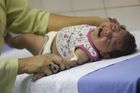 Virus zika v Kolumbii nakazil přes 25 tisíc lidí. Včetně 3100 těhotných žen