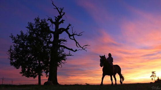 Ve fotogalerii si můžete prohlédnout 21 snímků z Vysočiny, které pořídil fotoreportér a autor stránky Vysočina life and nature Petr Lemberk.