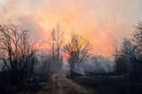 Oheň u Černobylu vzplanul 3. dubna během neobvykle suchých dnů a rozšířil se do okolních lesů.