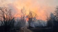 Oheň u Černobylu vzplanul 3. dubna během neobvykle suchých dnů a rozšířil se do okolních lesů.