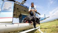 Výcvik policejního psa trvá zhruba dva roky. Psovod o něj pečuje od štěněte. "Vychovává si ho sám, připravuje si ho na službu, kterou bude pes pro nás dělat," doplnil Tomášek.