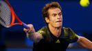 Australian Open: Andy Murray