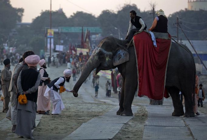 A devotee gives money to an elephant during a religious procession near the banks of the river Ganges ahead of the "Kumbh Mela" (Pitcher Festival) in the northern Indian city of Allahabad January 11, 2013. During the festival, Hindus take part in a religious gathering on the banks of the river Ganges. "Kumbh Mela" will return to Allahabad in 12 years. REUTERS/Ahmad Masood (INDIA - Tags: RELIGION SOCIETY ANIMALS) Published: Led. 11, 2013, 6:40 odp.