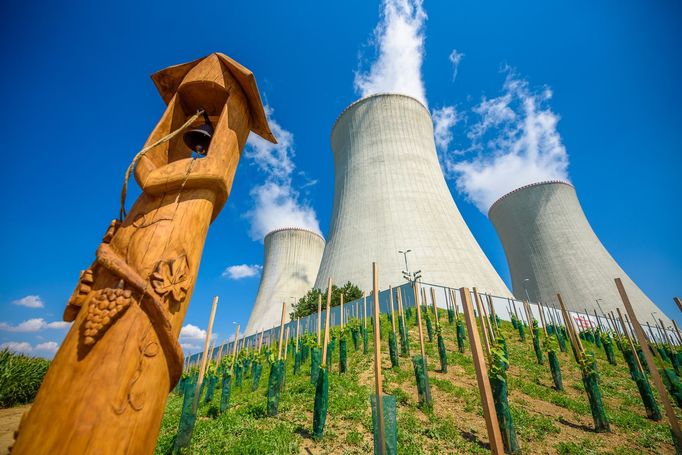 U Jaderné elektrárny Dukovany roste největší "jaderná vinice"