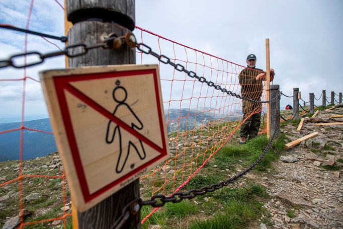 Správci oddělí další ochrannou sítí návštěvnický prostor na Sněžce od míst, kde nemají turisté, co dělat.