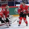 Hokej, MS 2013, Česko - Kanada: Mike Smith a Dan Hamhuis