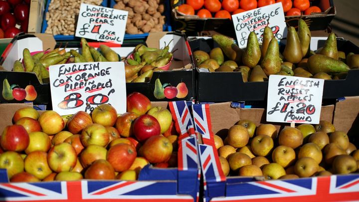 Británii chybí kvůli pandemii pracovní síla z východní Evropy. Nemá kdo sklízet ovoce