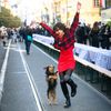 17. listopad 2023, Den boje za svobodu a demokracii, státní svátek, Národní třída