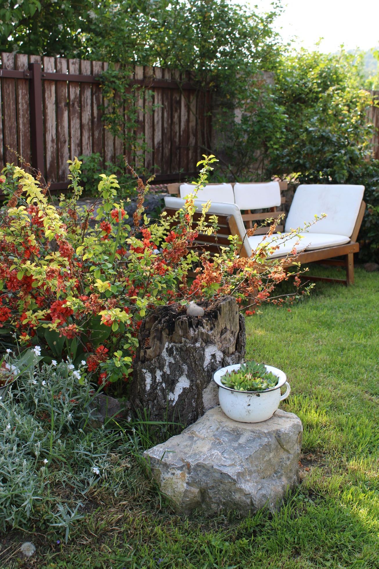 Žijeme na vsi, bydlení, rodina, dům, retro, vintage