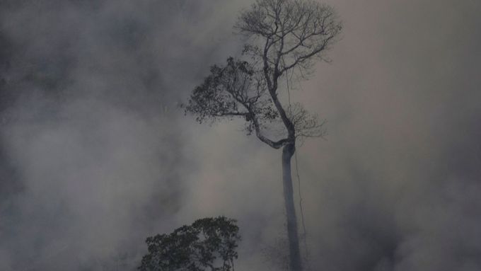 Požár v amazonském pralese.