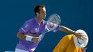 Radek Štěpánek na Australian Open 2011