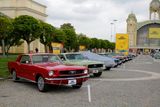 Celá řada Fordů Mustang, fanoušci prvního zástupce tzv. "pony cars" tu budou ve svém živlu.