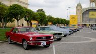 Celá řada Fordů Mustang, fanoušci prvního zástupce tzv. "pony cars" tu budou ve svém živlu.