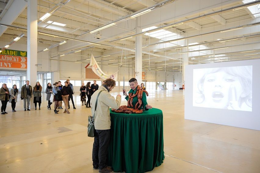 Galerie Plato v hobbymarketu