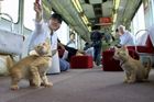 Vlak plný koček. Cestující se během jízdy mazlili se zvířaty bez domova