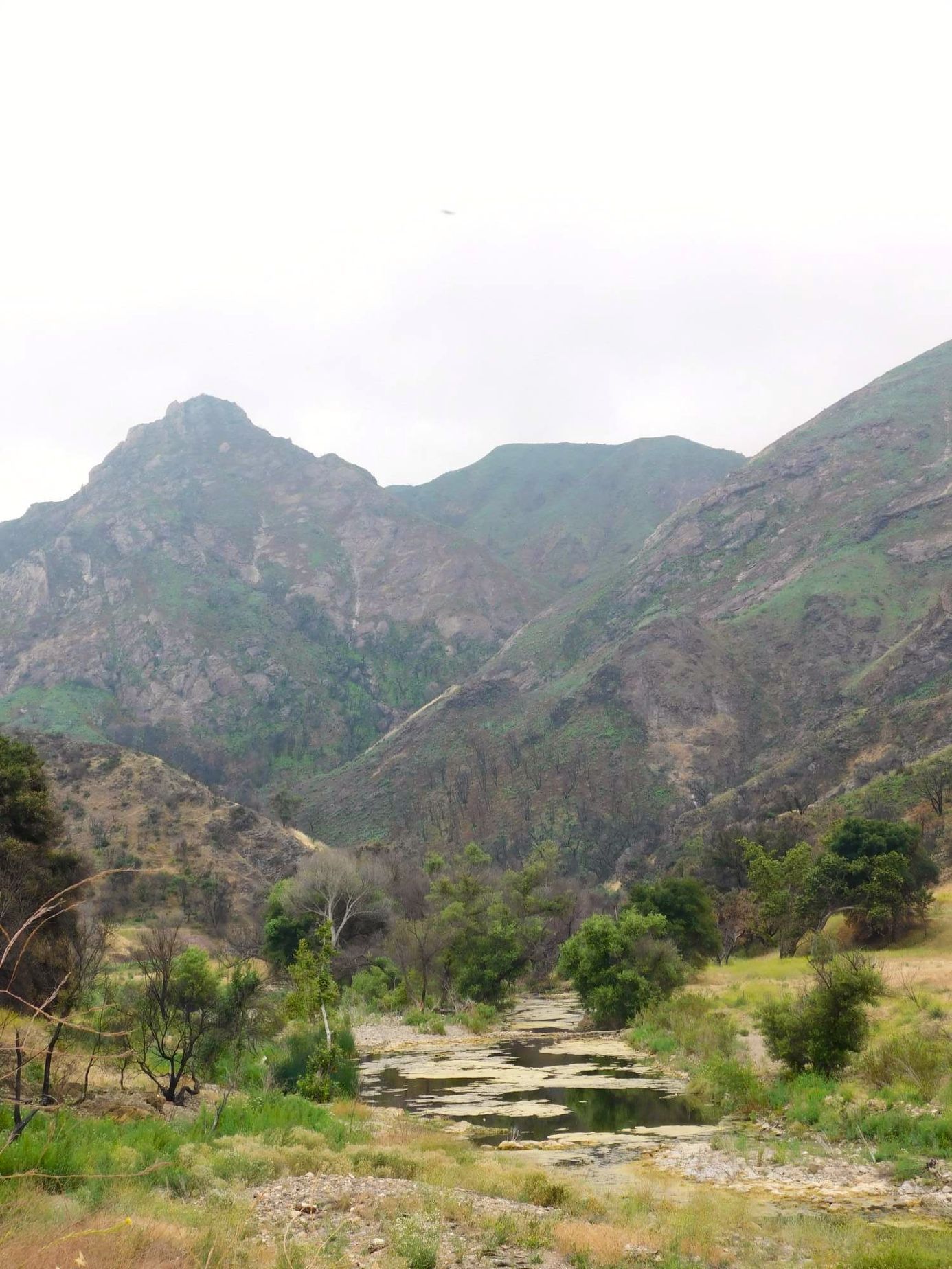 Galerie natáčecí místo MASH