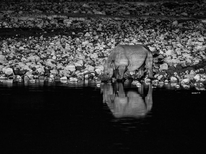 Jaroslav Hora, vítěz soutěže Travel Photographer of the Year: Namibie