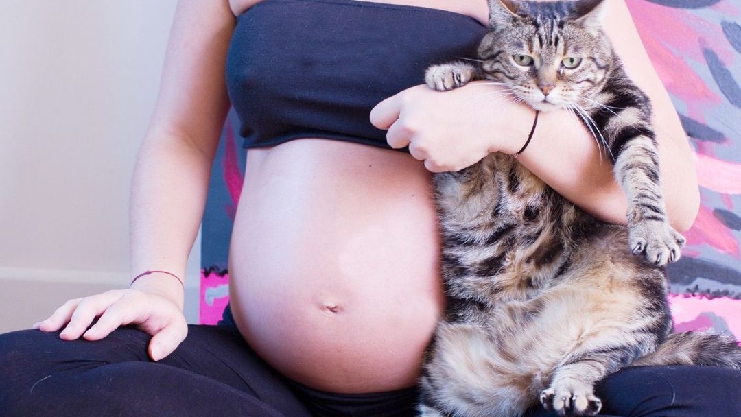 Těhotná a kočka